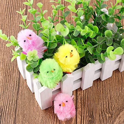 JFBUCF Juego de 36 mini pollitos de Pascua, chenilla de color Pascua esponjoso pollitos de felpa para caza de huevos de Pascua decoración de capó de fiesta para niños