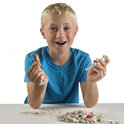 Juego de excavación de minerales de piedras preciosas, juguete de geografía nacional y fósils, kit con 15 piedras preciosas increíbles, regalo de cumpleaños para niños 3, 4, 5, 6, 7, 8, 9, 10