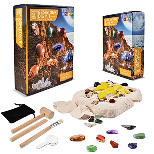 Juego de excavación de minerales de piedras preciosas, juguete de geografía nacional y fósils, kit con 15 piedras preciosas increíbles, regalo de cumpleaños para niños 3, 4, 5, 6, 7, 8, 9, 10