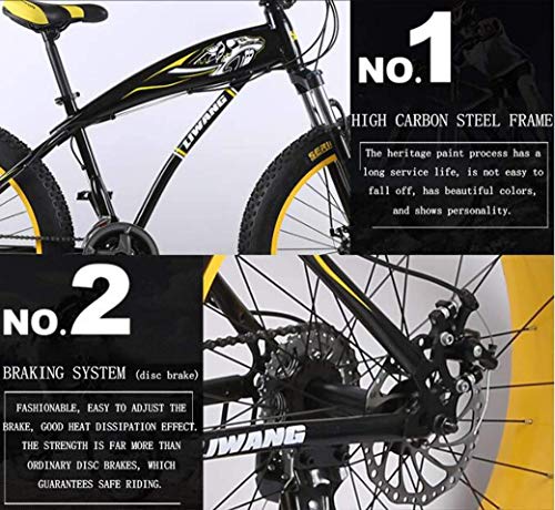 JYTFZD WENHAO Bicicleta de montaña de 24"/ 26" de 27", Bicicleta de Nieve de Rueda Grande, Freno de Disco Doble, Tenedor Frontal Absorbente de choques Fuerte, Bicicleta de Playa Fuera de Carretera