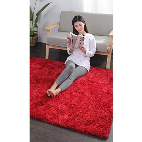 La alfombra Simple nórdica Largo Felpa Suave Manta for el Dormitorio de la Sala (Rojo) HAODAMAI (Size : 70x140cm)