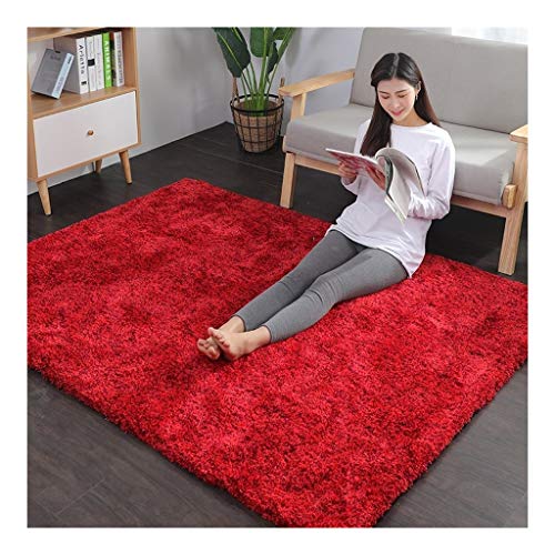 La alfombra Simple nórdica Largo Felpa Suave Manta for el Dormitorio de la Sala (Rojo) HAODAMAI (Size : 70x140cm)