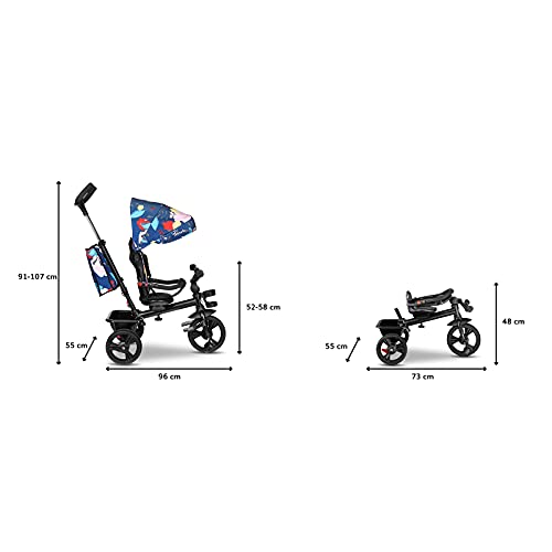 LIONELO Haari Bicicleta 2 en 1 Menores hasta 25 kg 1,5-5 años Triciclo- carrito Cesta espaciosa, bolsa y portavasos Cinturones de 3 puntos con fundas Toldo Reposapiés Azul Oscuro