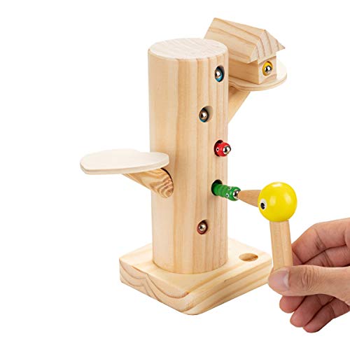 Locisne Juego educativo madera con gusano pájaro magnético, desarrollo aprendizaje para niños pequeños,modelado,color, cognitivo,físico,emocional,juguete magnético divertido