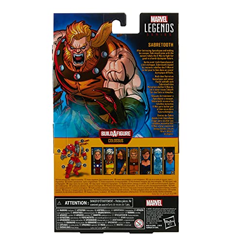 Marvel Hasbro Legends Series - Figura de Sabretooth de 15 cm - con diseño Premium, 3 Accesorios y 1 Pieza de Figura para armar