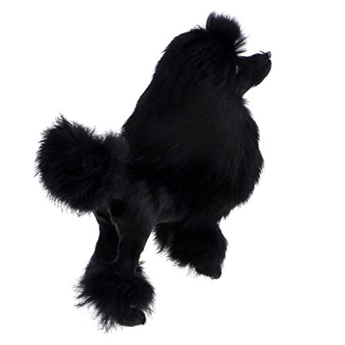 Milageto de Juguete de Caniche Modelo de Perro Negro Animal de Peluche Perros Inicio