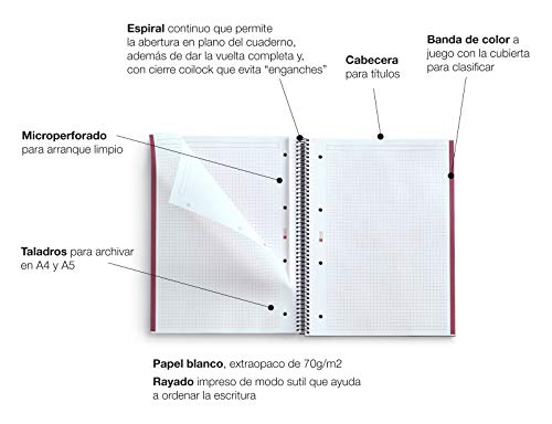 Miquelrius - Cuaderno A4, 80 Hojas (Franja de un Color), Cuadrícula 5 mm, Tapa de Polipropileno, color Negro/Rojo