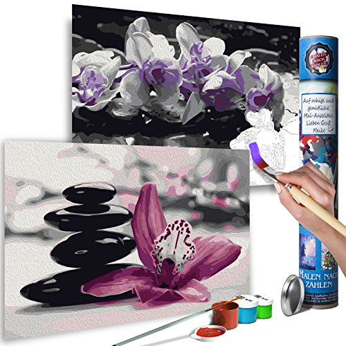 murando Pintura por Números Flores Orquidea 120x40 cm 2 Motivos Cuadros de Colorear por Números Kit para Pintar DIY Bricolaje Adultos Ni?os Caja-Regalo de Diseno n-A-0583-ab-r