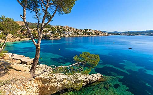 MX-XXUOUO Rompecabezas de 1000 Piezas Lugares Hermosos:Palma de Menorca árbol Casas de la Costa del mar Azul España