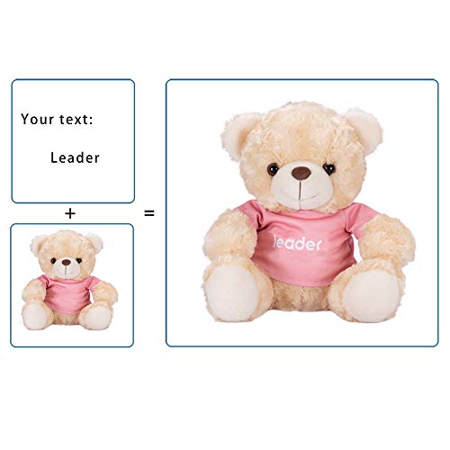 Osito de Peluche Personalizado con Texto Personalizado Personalizado, Peluche de Oso de Peluche de 9,8 ", 3 Colores de Oso de Peluche, 8 Colores de Camiseta