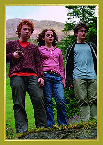 Panini France SA HARRY POTTER El manual del Sérérger Estuche 3D (1 álbum de cartón, 16 fundas y 2 tarjetas limitadas), 004279MCOUFFC