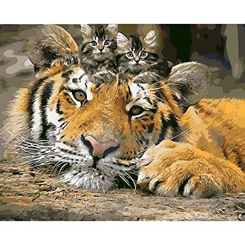 Pintura Al Óleo Digital,Por Número De Kits De Pintura Lienzo Pintura Al Óleo De Bricolaje Para Niños, Estudiantes, Adultos Principiantes Con Cepillos Y Pigmento Acrílico -Tiger Cat 16" × 20" ; (