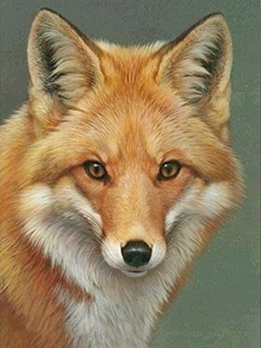 Pintura al óleo por número Fox Animal Dibujo sobre lienzo Pintura por número Paisaje de invierno Regalos pintados a mano A9 40x50cm