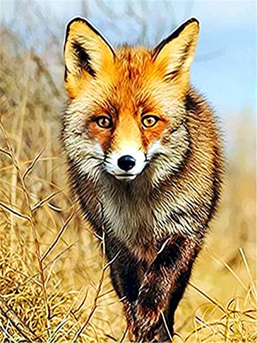 Pintura al óleo por número Fox Animal Dibujo sobre lienzo Pintura por número Paisaje de invierno Regalos pintados a mano A9 40x50cm