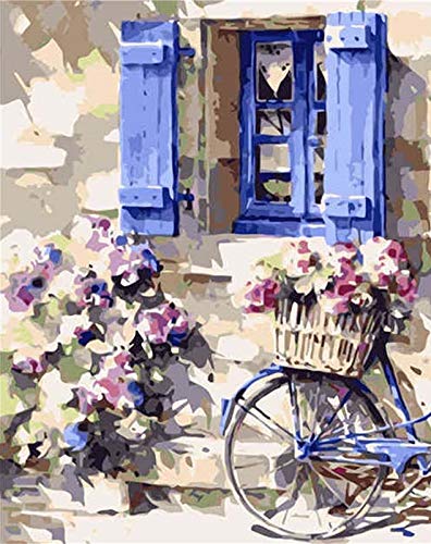 Pintura para adultos por números flores DIY dibujo sobre lienzo pintado a mano pintura artística para colorear por números bicicleta regalo único A6 40x50cm