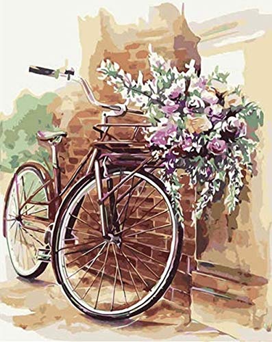 Pintura para adultos por números flores DIY dibujo sobre lienzo pintado a mano pintura artística para colorear por números bicicleta regalo único A9 40x50cm