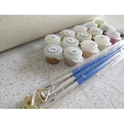 Pintura por número Kit, Diy Pintura al óleo Dibujo Chica romántica caminando por debajo de los árboles Lienzo con pinceles Decoración navideña Decoraciones Regalos - 16 * 20 pulgadas con marco