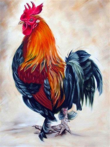 Pintura por número pollo pintado a mano pintura arte regalo colorear por números kits de animales decoración de la habitación A10 40x60cm