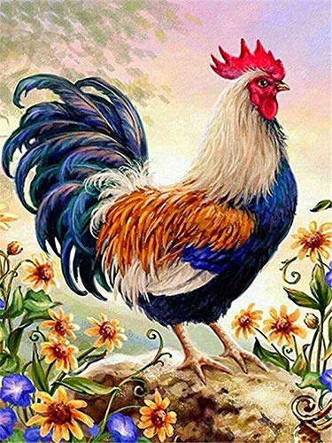 Pintura por número pollo pintado a mano pintura arte regalo colorear por números kits de animales decoración de la habitación A10 40x60cm