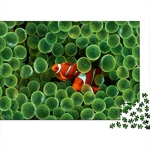 Puzzle 1000 Piezas Pez Payaso Puzzle de Madera Lady Puzzle Decoración de Cumpleaños 38x52cm