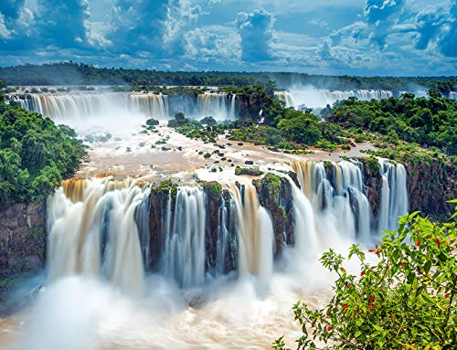 Ravensburger Puzzle 1000 Piezas, Las Cataratas, Puzzle para Adultos, Rompecabezas Ravensburger de Alta Calidad, Puzzles Paisajes Adultos