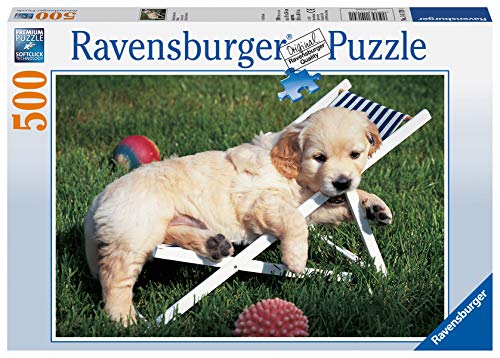 Ravensburger Puzzle, Puzzle 500 Piezas, Golden Retriver, Puzzles para Adultos, Puzzle Animales, Rompecabezas Ravensburger de Alta Calidad