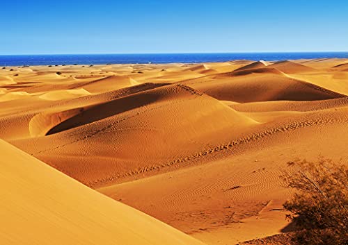 Rompecabezas Lais Reserva Natural de las Dunas de Maspalomas, en Gran Canaria, España 1000 piezas