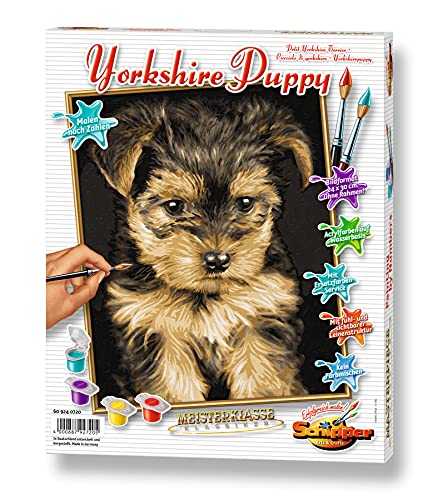 Schipper Perrito de Yorkshire 609240720 - Pintar por números - tamaño 24 x 30 cm