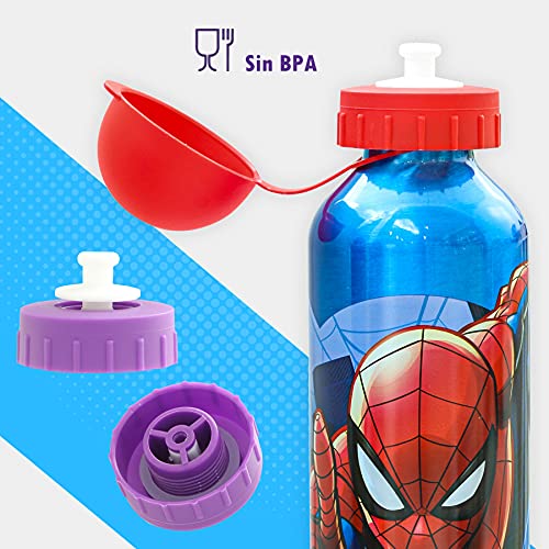 SKYLINE Cantimplora Infantil 500 ML, Botella Aluminio para Niños, Térmica, Con Tapa Hermética, Sin BPA, Para Llevar a la Escuela, Parque, Deportes etc