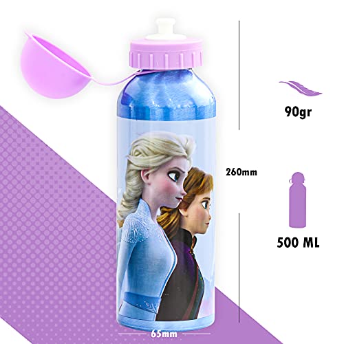 SKYLINE Cantimplora Infantil 500 ML, Frozen, Botella Aluminio para Niñas, Con Tapa Hermética, Sin BPA, Para Llevar a la Escuela, Parque, Deportes etc