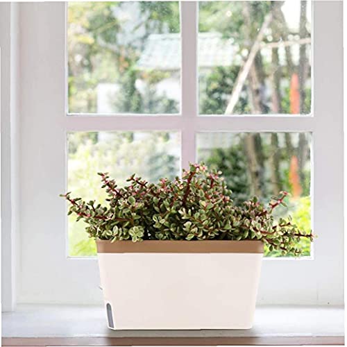 SouiWuzi Auto-riego plantador plástico de riego automático de Planter Tiesto para Suculentas Flores de la Hierba de café, Flor de la Planta Contenedores