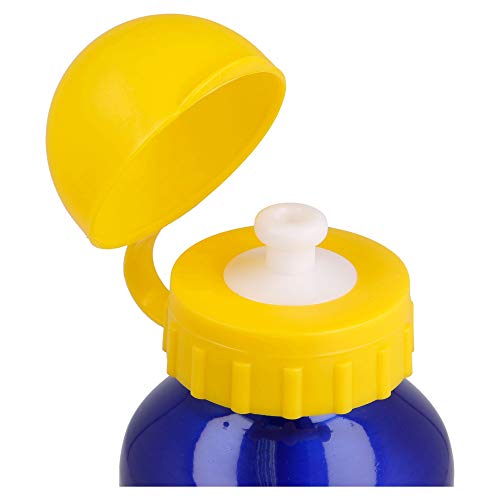 Stor Botella Aluminio 400 ML | Minions 2