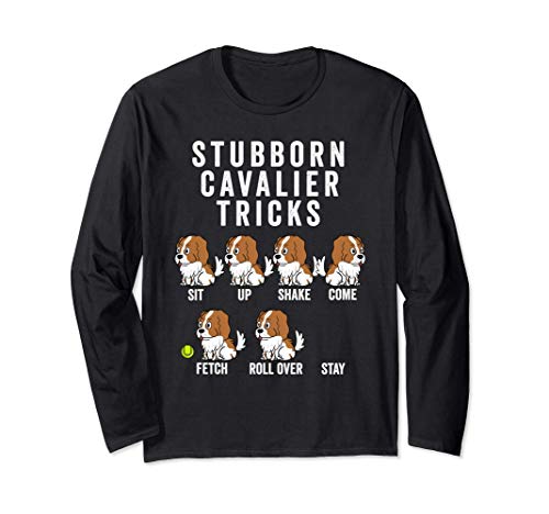 Stubborn Cavalier King Charles Spaniel Tricks Perro Manga Larga