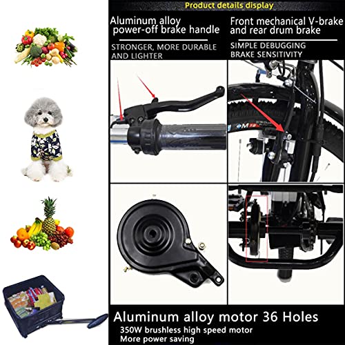 Triciclo para Adultos con Cesta Triciclo eléctrico batería de Litio híbrido de 3 Ruedas Motor 36V12AH 350W para Padres y Ancianos Iluminación LED Marco de Acero de Alto Carbono (Black,24inch)