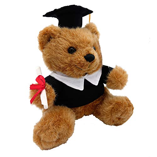 UNICUM oso de examen - Regalo para estudiantes - título universitario - bachillerato - oso de peluche