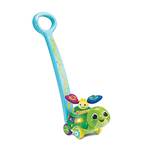 VTech-80-547605 Tortuga de Empuje, Multicolor (547605)