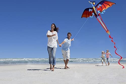 Wankd Cometa infantil multicolor en 3D, 120 x 140 cm, cola de dinosaurio, cometa, juguete realista, 100 m, línea única con cola, para actividades al aire libre, adultos y niños