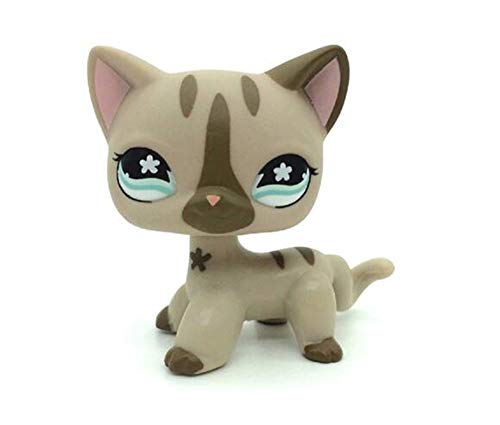 WooMax Mini Toy Grey Star Eye Cat + Diamond Stripe Cat con 8 Piezas de Repuesto para ni?os ni?as Regalo para ni?os