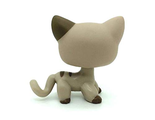 WooMax Mini Toy Grey Star Eye Cat + Diamond Stripe Cat con 8 Piezas de Repuesto para ni?os ni?as Regalo para ni?os