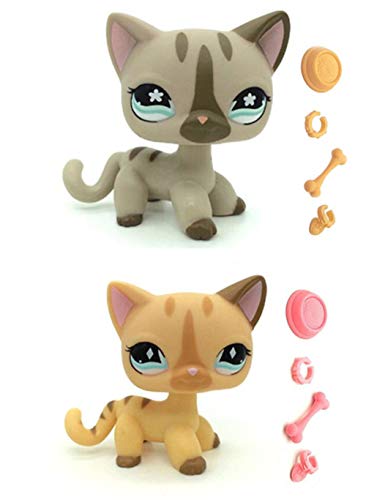 WooMax Mini Toy Grey Star Eye Cat + Diamond Stripe Cat con 8 Piezas de Repuesto para ni?os ni?as Regalo para ni?os