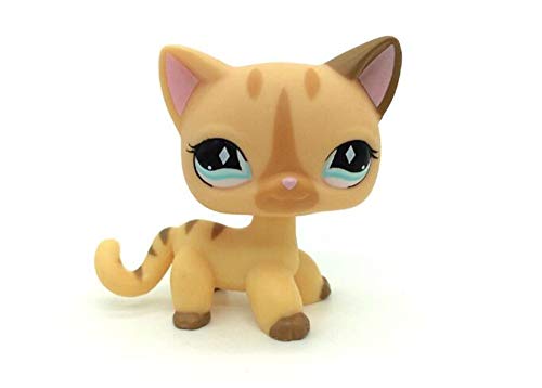 WooMax Mini Toy Grey Star Eye Cat + Diamond Stripe Cat con 8 Piezas de Repuesto para ni?os ni?as Regalo para ni?os