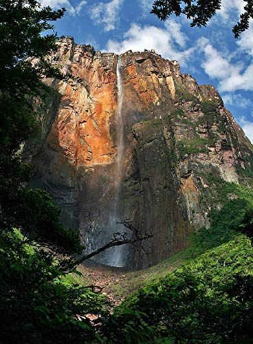 XiuTaiLtd Puzzle Adulto Parque Nacional Canaima Cascada Angel Falls Venezuela 1000 Piezas