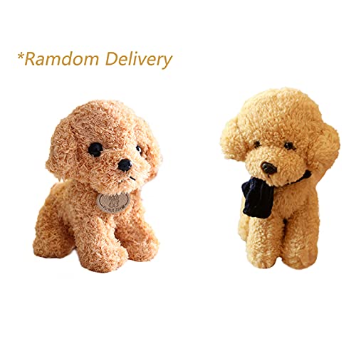 ZIEM Venta al por Mayor de simulación de Perro de Peluche de Juguete de Peluche muñeca Cachorro muñeca de Perro Lindo caniche para Enviar a los niños Regalo de Agarre TeddyDog-Beige 25cm