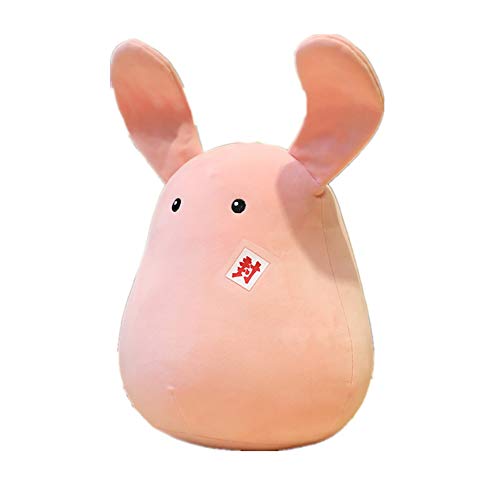 Anime Toilet-Bound Hanako-Kun Mokke Muñeco de Peluche Hanako Nene Yashiro Conejo Muñeco Cojín Yugi Amane Jibaku Shounen Peluche de Peluche Suave Llavero Colgante de Juguete para fanáticos del Anime