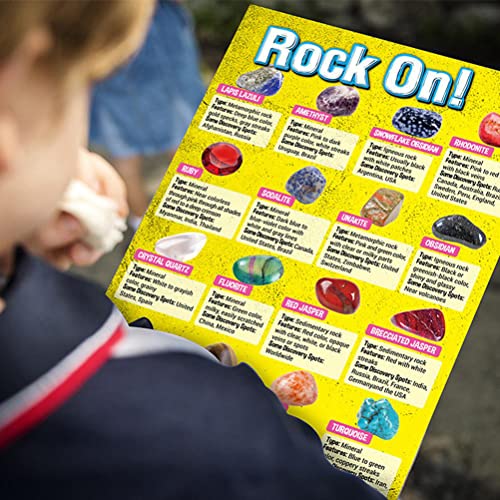 BSOA Caja de muestras de Rocas Naturales con minerales Colección de Piedras Preciosas y Cristales Guía de Estudio Minerales Cajas de Regalo para Juguetes educativos para niños