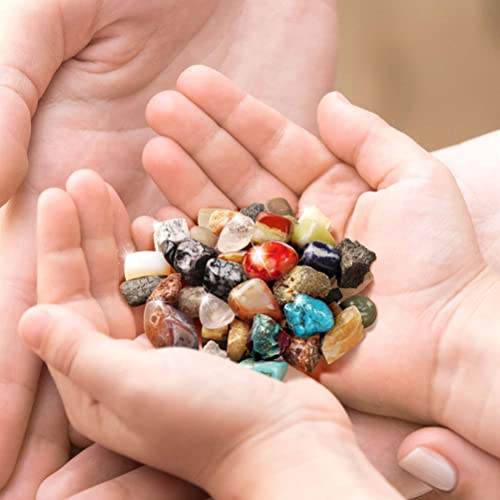 BSOA Caja de muestras de Rocas Naturales con minerales Colección de Piedras Preciosas y Cristales Guía de Estudio Minerales Cajas de Regalo para Juguetes educativos para niños