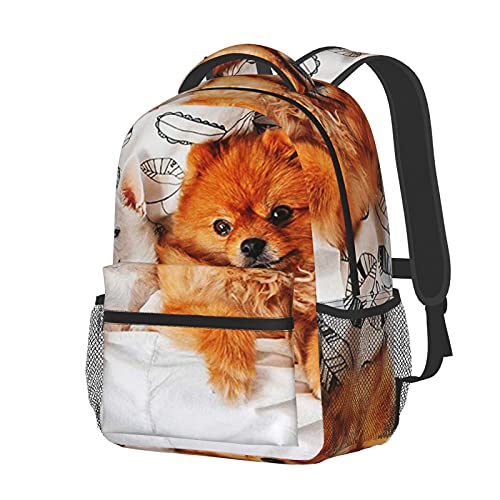 BYETWIK Mochilas Escolares Niños Niñas, Mochilas Hombre Mujer, Casual Deporte Playa Viaje Compras Bolsa Escolar, Mochilas Escolares Perros Chihuahua Pomerania