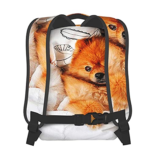 BYETWIK Mochilas Escolares Niños Niñas, Mochilas Hombre Mujer, Casual Deporte Playa Viaje Compras Bolsa Escolar, Mochilas Escolares Perros Chihuahua Pomerania