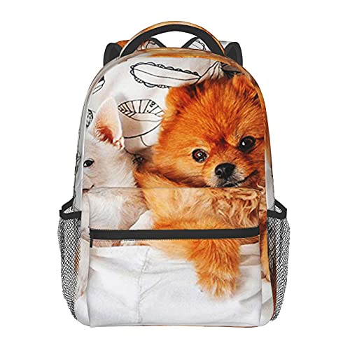 BYETWIK Mochilas Escolares Niños Niñas, Mochilas Hombre Mujer, Casual Deporte Playa Viaje Compras Bolsa Escolar, Mochilas Escolares Perros Chihuahua Pomerania