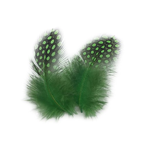 Desconocido 50pcs Teñido De Indias Plumas De Gallina De Plumas De Gallina 5-10 Cm Verde Manzana Rosa